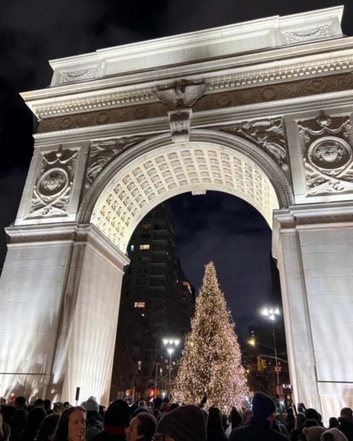 Washington Square Park Tree in New York City